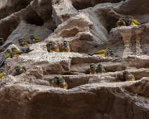 IMG_3895 13/09/2018 - Couples pour la vie, ils sont trop